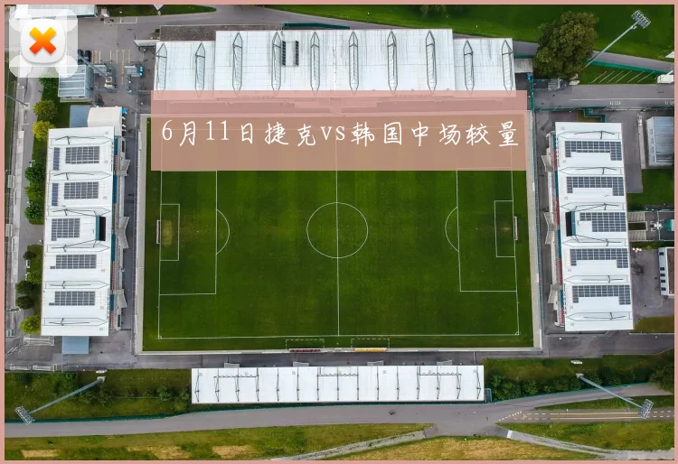 6月11日捷克vs韩国中场较量