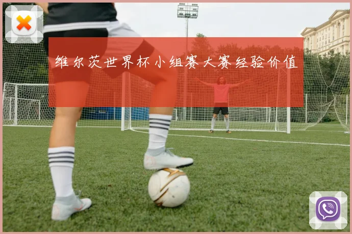 维尔茨世界杯小组赛大赛经验价值
