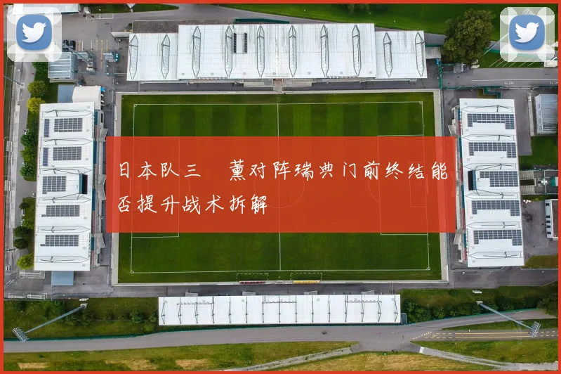日本队三笘薰对阵瑞典门前终结能否提升战术拆解