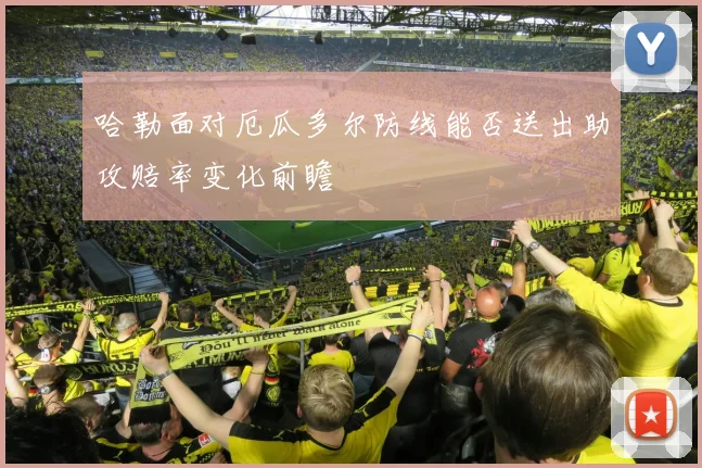 哈勒面对厄瓜多尔防线能否送出助攻赔率变化前瞻