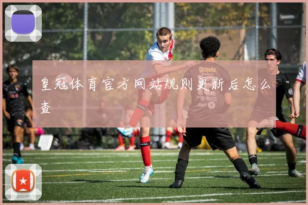 皇冠体育官方网站规则更新后怎么查