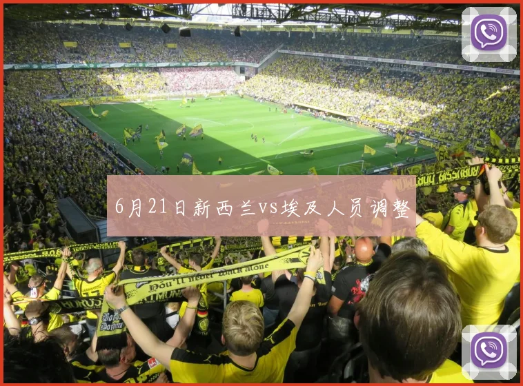 6月21日新西兰vs埃及人员调整